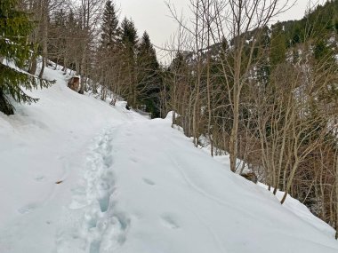 Mattstogg dağlarının taze kar örtüsü üzerinde ve Walen Gölü veya Walenstadt Gölü (Walensee) üzerinde (Walensee), Amden - İsviçre 'nin St. Gallen Kantonu (Schweiz)