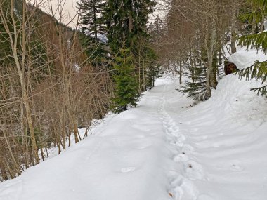 Mattstogg dağlarının taze kar örtüsü üzerinde ve Walen Gölü veya Walenstadt Gölü (Walensee) üzerinde (Walensee), Amden - İsviçre 'nin St. Gallen Kantonu (Schweiz)