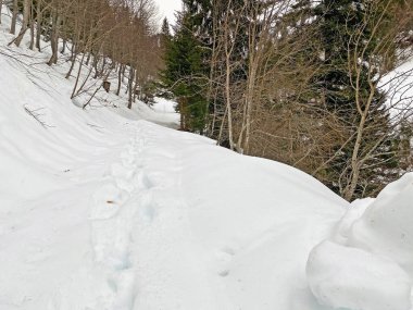 Mattstogg dağlarının taze kar örtüsü üzerinde ve Walen Gölü veya Walenstadt Gölü (Walensee) üzerinde (Walensee), Amden - İsviçre 'nin St. Gallen Kantonu (Schweiz)