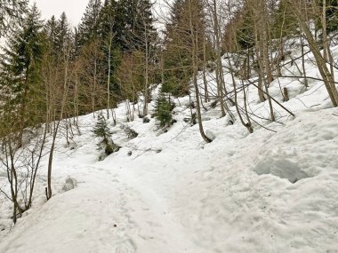 Mattstogg dağlarının taze kar örtüsü üzerinde ve Walen Gölü veya Walenstadt Gölü (Walensee) üzerinde (Walensee), Amden - İsviçre 'nin St. Gallen Kantonu (Schweiz)
