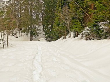 Mattstogg dağlarının taze kar örtüsü üzerinde ve Walen Gölü veya Walenstadt Gölü (Walensee) üzerinde (Walensee), Amden - İsviçre 'nin St. Gallen Kantonu (Schweiz)