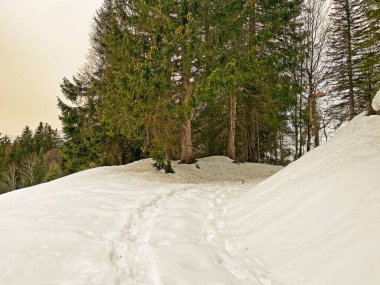 Mattstogg dağlarının taze kar örtüsü üzerinde ve Walen Gölü veya Walenstadt Gölü (Walensee) üzerinde (Walensee), Amden - İsviçre 'nin St. Gallen Kantonu (Schweiz)