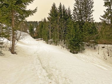 Mattstogg dağlarının taze kar örtüsü üzerinde ve Walen Gölü veya Walenstadt Gölü (Walensee) üzerinde (Walensee), Amden - İsviçre 'nin St. Gallen Kantonu (Schweiz)