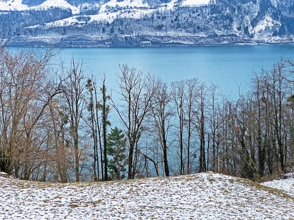 Lake Walen in winter or Lake Walenstadt (Walensee) between the mountain ranges of Churfirsten and Glarus Alps, Amden - Canton of St. Gallen, Switzerland (Kanton St. Gallen, Schweiz)