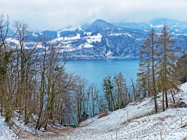 Lake Walen in winter or Lake Walenstadt (Walensee) between the mountain ranges of Churfirsten and Glarus Alps, Amden - Canton of St. Gallen, Switzerland (Kanton St. Gallen, Schweiz)