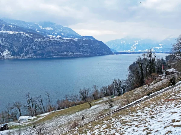 Lake Walen in winter or Lake Walenstadt (Walensee) between the mountain ranges of Churfirsten and Glarus Alps, Amden - Canton of St. Gallen, Switzerland (Kanton St. Gallen, Schweiz)