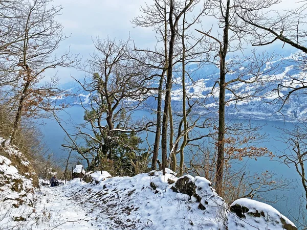Lake Walen in winter or Lake Walenstadt (Walensee) between the mountain ranges of Churfirsten and Glarus Alps, Amden - Canton of St. Gallen, Switzerland (Kanton St. Gallen, Schweiz)