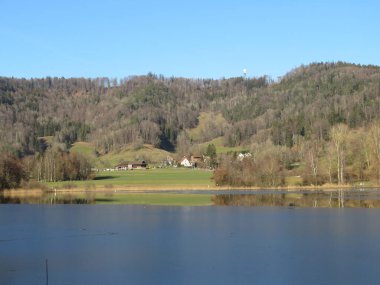 İlkbaharın başlarında Tuerler / Tuerlersee veya Turlersee bölgesinde erken bahar çayırları ve karışık ormanlarla doğal manzara, Aeugst am Albis - İsviçre (Schweiz)