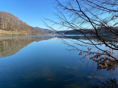 İlkbaharın başlarında Tuerler / Tuerlersee veya Turlersee bölgesinde erken bahar çayırları ve karışık ormanlarla doğal manzara, Aeugst am Albis - İsviçre (Schweiz)