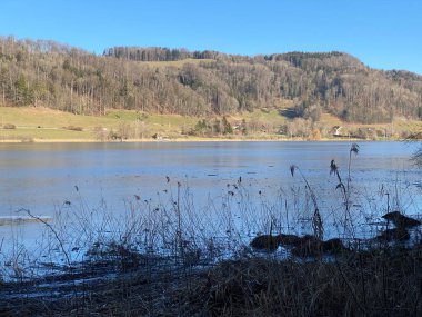 İlkbaharın başlarında Tuerler / Tuerlersee veya Turlersee bölgesinde erken bahar çayırları ve karışık ormanlarla doğal manzara, Aeugst am Albis - İsviçre (Schweiz)