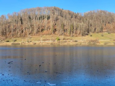 İlkbaharın başlarında Tuerler / Tuerlersee veya Turlersee bölgesinde erken bahar çayırları ve karışık ormanlarla doğal manzara, Aeugst am Albis - İsviçre (Schweiz)