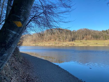 İlkbaharın başlarında Tuerler / Tuerlersee veya Turlersee bölgesinde erken bahar çayırları ve karışık ormanlarla doğal manzara, Aeugst am Albis - İsviçre (Schweiz)