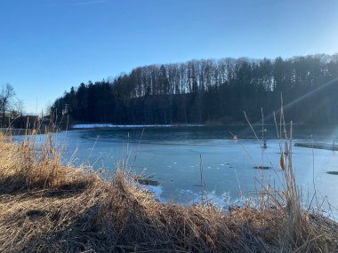 Tuerler Gölü veya Tuerlersee Gölü / Turlersee, Aeugst am Albis - İsviçre 'nin Zuerich Kantonu (Schweiz)