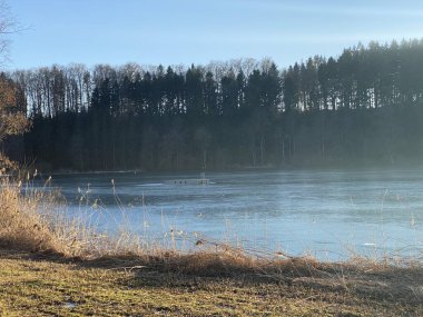 Tuerler Gölü veya Tuerlersee Gölü / Turlersee, Aeugst am Albis - İsviçre 'nin Zuerich Kantonu (Schweiz)