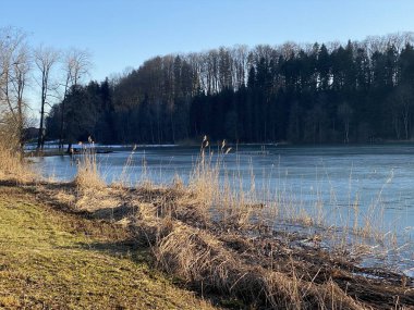 Tuerler Gölü veya Tuerlersee Gölü / Turlersee, Aeugst am Albis - İsviçre 'nin Zuerich Kantonu (Schweiz)