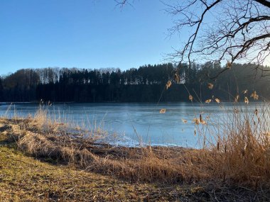 Tuerler Gölü veya Tuerlersee Gölü / Turlersee, Aeugst am Albis - İsviçre 'nin Zuerich Kantonu (Schweiz)