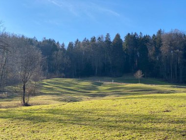 İlkbaharın başlarında Tuerler Gölü veya Tuerlersee Gölü / Turlersee bölgesinde erken bahar çayırları ve karışık ormanlarla doğal manzara, Aeugst am Albis - İsviçre (Schweiz)