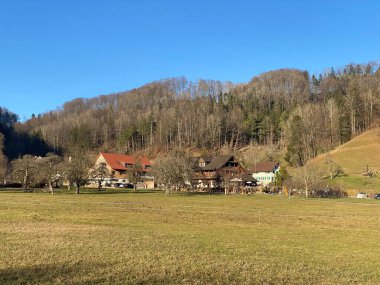 İlkbaharın başlarında Tuerler Gölü veya Tuerlersee Gölü / Turlersee bölgesinde erken bahar çayırları ve karışık ormanlarla doğal manzara, Aeugst am Albis - İsviçre (Schweiz)