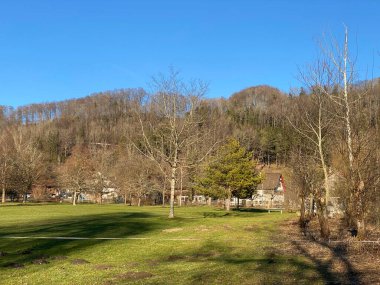 İlkbaharın başlarında Tuerler Gölü veya Tuerlersee Gölü / Turlersee bölgesinde erken bahar çayırları ve karışık ormanlarla doğal manzara, Aeugst am Albis - İsviçre (Schweiz)