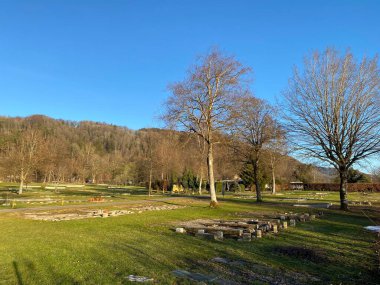 İlkbaharın başlarında Tuerler Gölü veya Tuerlersee Gölü / Turlersee bölgesinde erken bahar çayırları ve karışık ormanlarla doğal manzara, Aeugst am Albis - İsviçre (Schweiz)