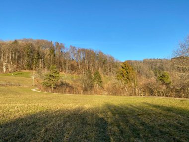 İlkbaharın başlarında Tuerler Gölü veya Tuerlersee Gölü / Turlersee bölgesinde erken bahar çayırları ve karışık ormanlarla doğal manzara, Aeugst am Albis - İsviçre (Schweiz)