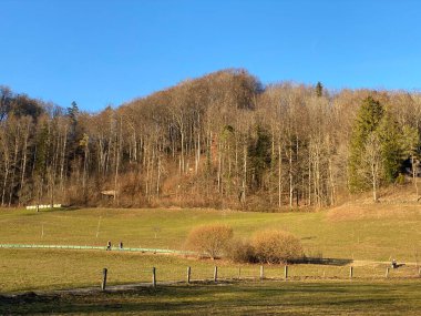 İlkbaharın başlarında Tuerler Gölü veya Tuerlersee Gölü / Turlersee bölgesinde erken bahar çayırları ve karışık ormanlarla doğal manzara, Aeugst am Albis - İsviçre (Schweiz)