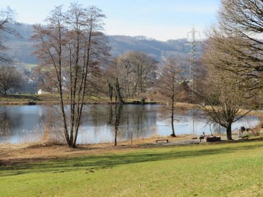 Bergweiher göletinde kış sonu ve ilkbaharın başlarında Horgen - Zuerich veya Zürih Kantonu, İsviçre (Schweiz)