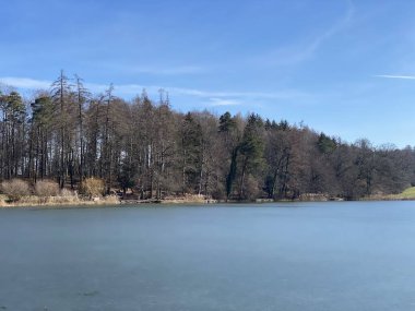 Bergweiher göletinde kış sonu ve ilkbaharın başlarında Horgen - Zuerich veya Zürih Kantonu, İsviçre (Schweiz)
