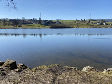 Bergweiher göletinde kış sonu ve ilkbaharın başlarında Horgen - Zuerich veya Zürih Kantonu, İsviçre (Schweiz)