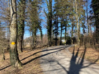 Gattikerweiher ve Waldweiher göletleri, Gattikon - Zuerich veya Zürih Kantonu, İsviçre (Schweiz)