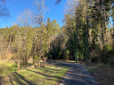 Gattikerweiher ve Waldweiher göletleri, Gattikon - Zuerich veya Zürih Kantonu, İsviçre (Schweiz)