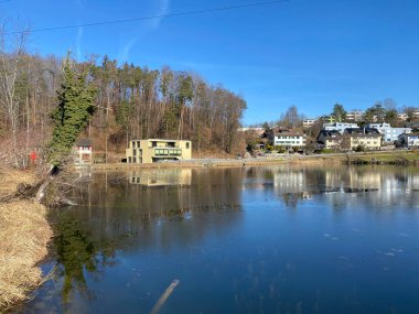 Kışın sonları ve ilkbaharın başlarında Gattikerweiher göletinde ve Landforst, Gattikon 'un koruma altındaki doğal alanında Zuerich veya Zürih Kantonu, İsviçre (Schweiz)
