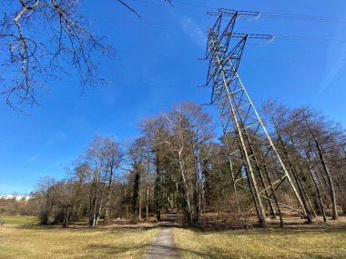 İsviçre 'nin koruma altındaki doğal alanında yeşil enerji üretimi yoluyla yüksek çevre bilincinin bir sembolü olarak bir elektrik nakil hattının metal inşaatı - İsviçre (Schweiz)