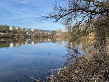 Zürih Gölü 'ndeki Au Yarımadası' nda (Au Gölü) (Au Yarımadası) (Zürih), Waedenswil - Zürih Kantonu (veya Zürih), İsviçre (Schweiz)