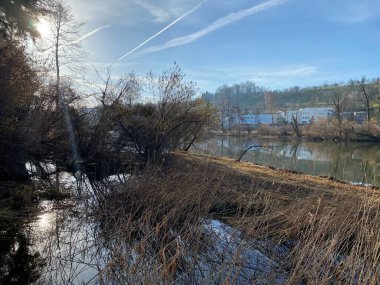 Zürih Gölü 'ndeki Au Yarımadası' nda (Au Gölü) (Au Yarımadası) (Zürih), Waedenswil - Zürih Kantonu (veya Zürih), İsviçre (Schweiz)