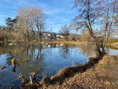 Zürih Gölü 'ndeki Au Yarımadası' nda (Au Gölü) (Au Yarımadası) (Zürih), Waedenswil - Zürih Kantonu (veya Zürih), İsviçre (Schweiz)
