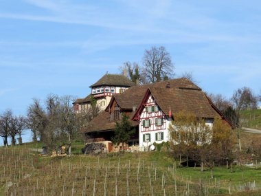 Zürih Gölü 'ndeki Au Yarımadası (Zürih Oder Zuerichsee), Wadenswil (Waedenswil) - Zürih Kantonu (Zuerich), İsviçre / Schweiz