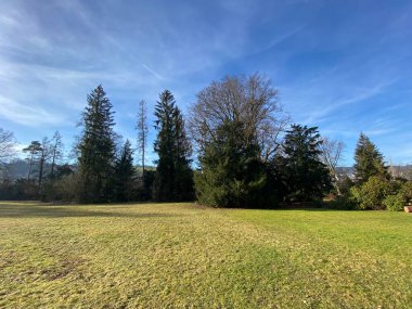 Au yarımadasında (Villa Au veya Schloss Au) ve Zürih Gölü boyunca (Zuerichsee oder Zurichsee), Wadenswil (Waedenswil) - Zürih Kantonu (Zuerich), İsviçre / Schweiz