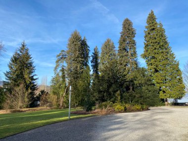 Au yarımadasında (Villa Au veya Schloss Au) ve Zürih Gölü boyunca (Zuerichsee oder Zurichsee), Wadenswil (Waedenswil) - Zürih Kantonu (Zuerich), İsviçre / Schweiz