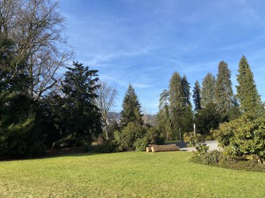 Au yarımadasında (Villa Au veya Schloss Au) ve Zürih Gölü boyunca (Zuerichsee oder Zurichsee), Wadenswil (Waedenswil) - Zürih Kantonu (Zuerich), İsviçre / Schweiz