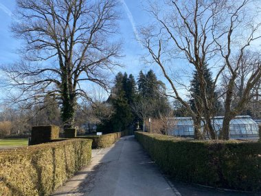 Au yarımadasında (Villa Au veya Schloss Au) ve Zürih Gölü boyunca (Zuerichsee oder Zurichsee), Wadenswil (Waedenswil) - Zürih Kantonu (Zuerich), İsviçre / Schweiz