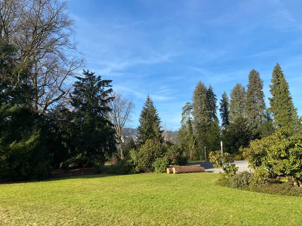 Au yarımadasında (Villa Au veya Schloss Au) ve Zürih Gölü boyunca (Zuerichsee oder Zurichsee), Wadenswil (Waedenswil) - Zürih Kantonu (Zuerich), İsviçre / Schweiz