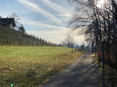 Au Gölü veya Ausse ve Zürih Gölü (Zuerichsee oder Zurichsee), Wadenswil (Waedenswil) - Zürih Kantonu (Zuerich), İsviçre (Schweiz)
