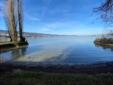 Lake Zurich (Zuerichsee oder Zurichsee) and a coastal landscape with vegetation in late winter in the Au Peninsula area, Wadenswil (Waedenswil) - Canton of Zurich (Zuerich), Switzerland (Schweiz)