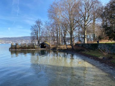 Lake Zurich (Zuerichsee oder Zurichsee) and a coastal landscape with vegetation in late winter in the Au Peninsula area, Wadenswil (Waedenswil) - Canton of Zurich (Zuerich), Switzerland (Schweiz)