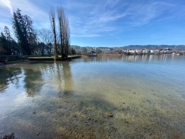 Lake Zurich (Zuerichsee oder Zurichsee) and a coastal landscape with vegetation in late winter in the Au Peninsula area, Wadenswil (Waedenswil) - Canton of Zurich (Zuerich), Switzerland (Schweiz)