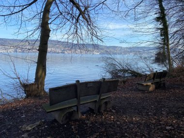Lake Zurich (Zuerichsee oder Zurichsee) and a coastal landscape with vegetation in late winter in the Au Peninsula area, Wadenswil (Waedenswil) - Canton of Zurich (Zuerich), Switzerland (Schweiz)