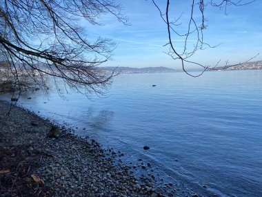 Lake Zurich (Zuerichsee oder Zurichsee) and a coastal landscape with vegetation in late winter in the Au Peninsula area, Wadenswil (Waedenswil) - Canton of Zurich (Zuerich), Switzerland (Schweiz)
