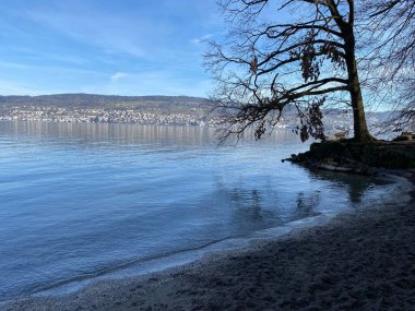 Lake Zurich (Zuerichsee oder Zurichsee) and a coastal landscape with vegetation in late winter in the Au Peninsula area, Wadenswil (Waedenswil) - Canton of Zurich (Zuerich), Switzerland (Schweiz)