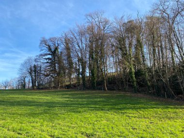 Late winter landscape with floodplain meadows, young pastures and mixed park forest on the Au peninsula, Wadenswil (Waedenswil) - Canton of Zurich (Zuerich), Switzerland / Schweiz
